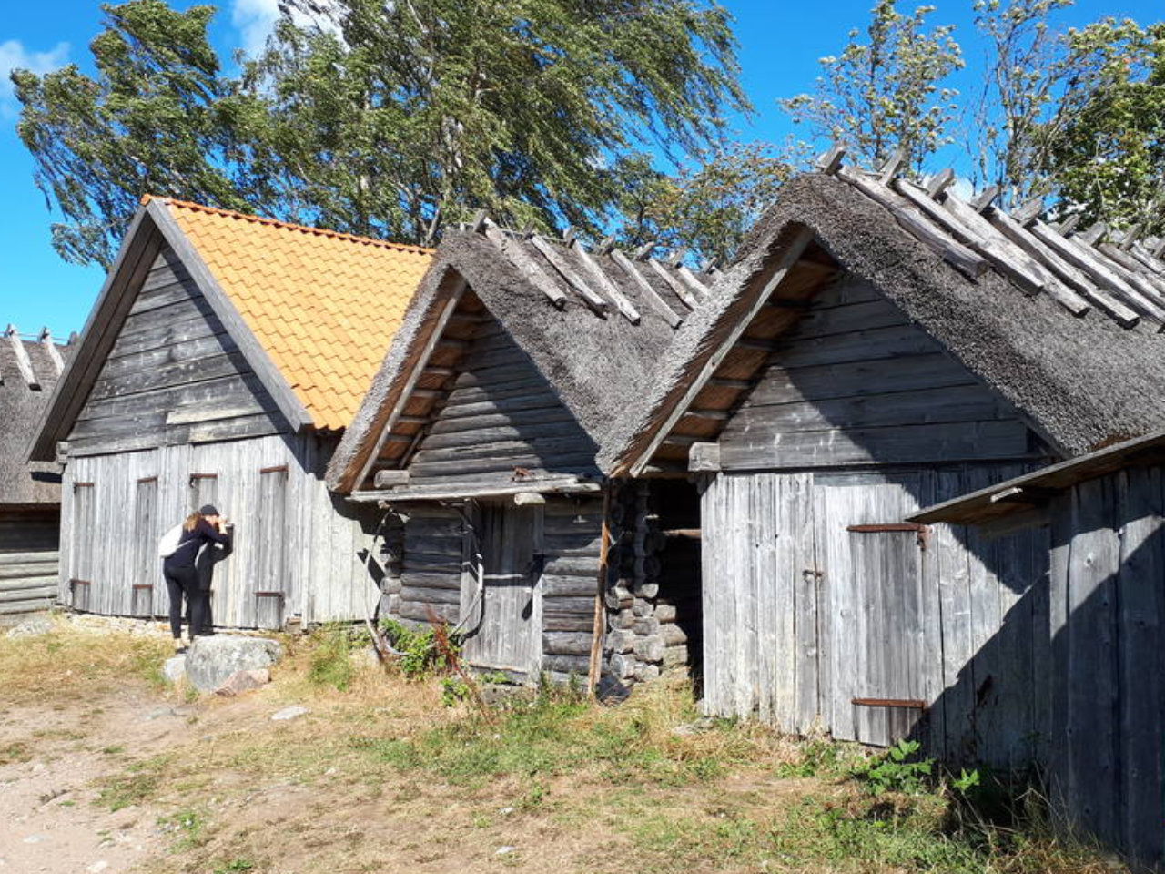 41. Etappe. Eisma Oandu. Via Hanseatica